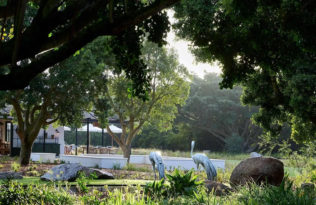 Spier Hotel&Wine Farm-1